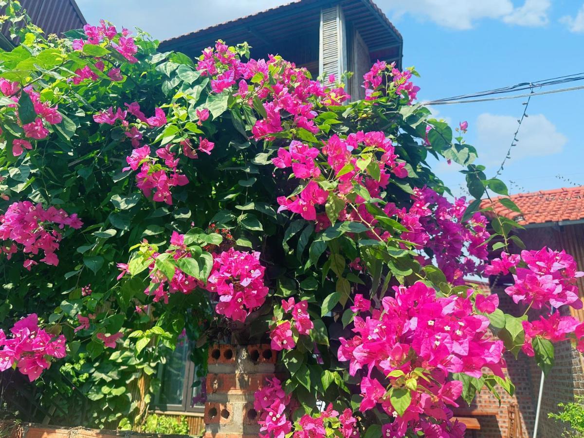 נין בין Trang An Moon Garden Homestay מראה חיצוני תמונה