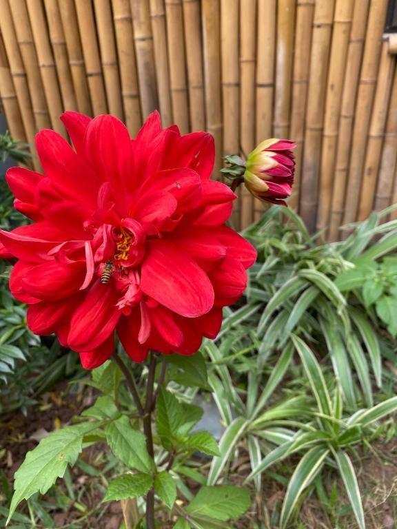 נין בין Trang An Moon Garden Homestay מראה חיצוני תמונה